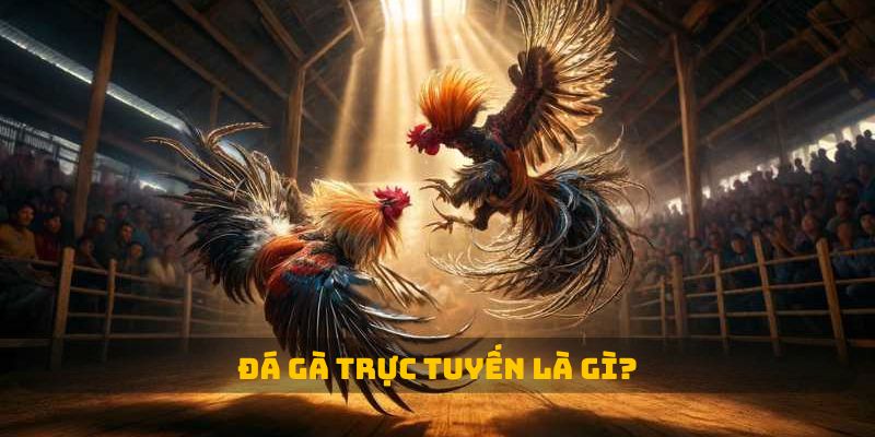 Đá Gà Trực Tuyến: Trò Chơi Hấp Dẫn Và Nhận Thưởng Khủng