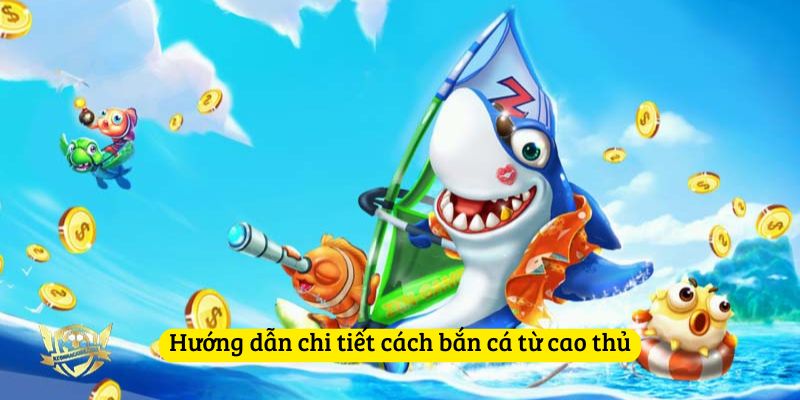 Hướng dẫn chi tiết cách bắn cá từ cao thủ