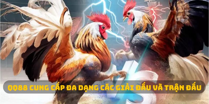 QQ88 cung cấp đa dạng các giải đấu và trận đấu