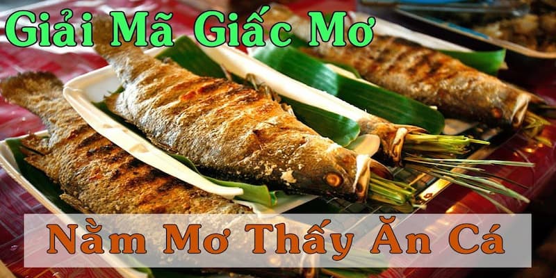 Nằm Mơ Thấy Ăn Cá - Lời Nhắn Tiềm Thức Mang Đến May Mắn!