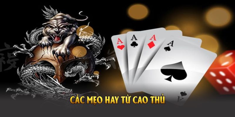 Các Mẹo Hay Từ Cao Thủ Giúp Bạn Chơi Rồng Hổ Qq88 Hiệu Quả