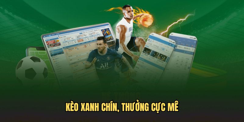 Hệ thống kèo phong phú, xanh chín