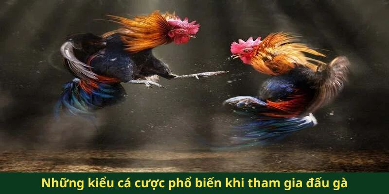 Những kiểu cá cược phổ biến khi tham gia đấu gà