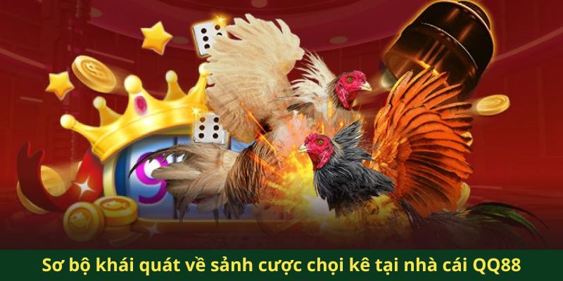 Sơ bộ khái quát về sảnh cược chọi kê tại nhà cái QQ88