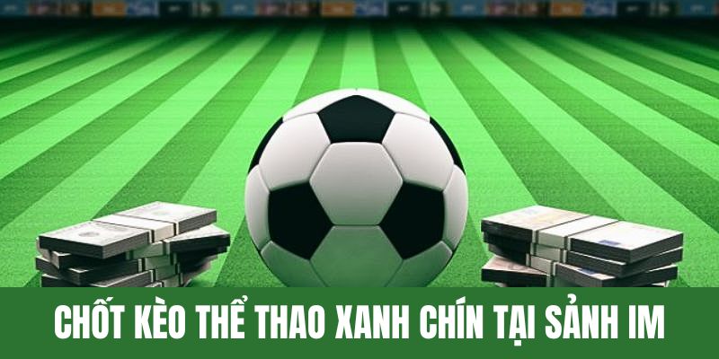 IM Thể Thao - Chốt Kèo Lớn, Xem Live Mượt Tại QQ88